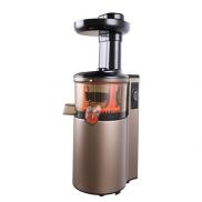 Slow Masticating Juicer Cold Press Extractor with Wide Chute for Fruits, Vegetables and Herbs