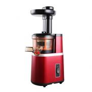 Vertical Slow Masticating Juicer Makes Continuous Fresh Fruit and Vegetable Juice